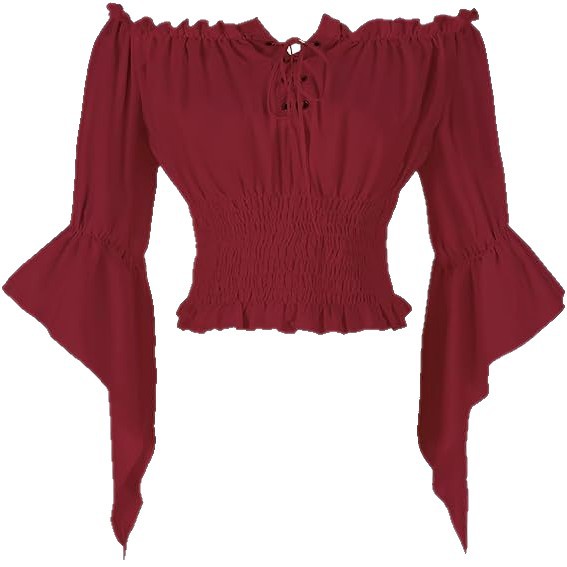Renaissance Medieval Aristocra - مراجعة Blouse Off Shoulder وسعره