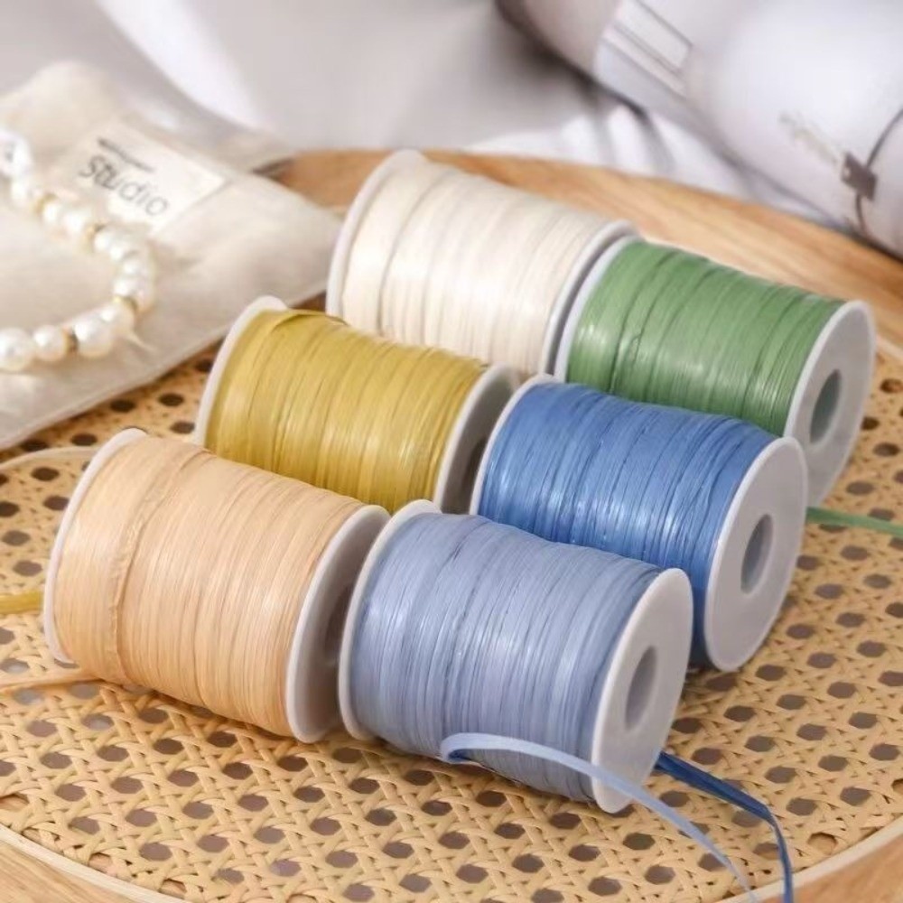 High Quality Premium Quality 1 - مراجعة Crochet Bag Raffia وسعره